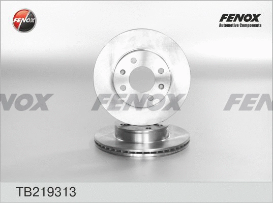 Brake Disc (TB219313)