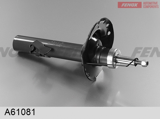 Shock Absorber (A61081)