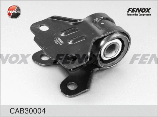 Mounting, control/trailing arm (CAB30004)