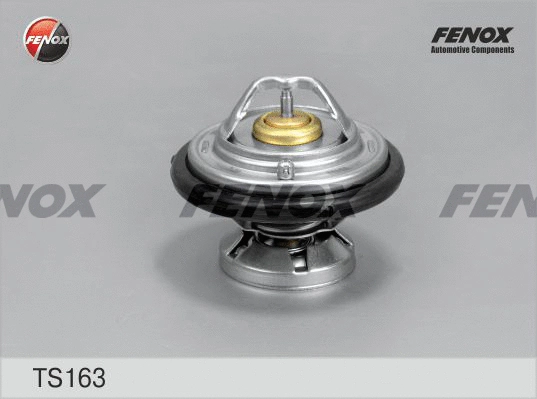 Thermostat, coolant (TS163)