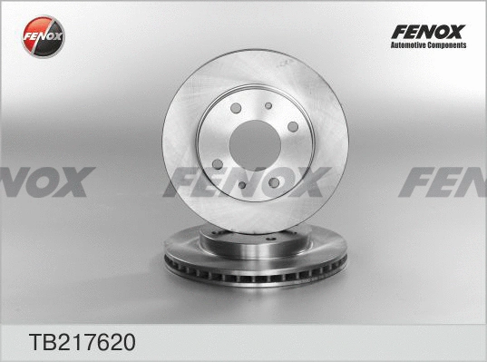 Brake Disc (TB217620)