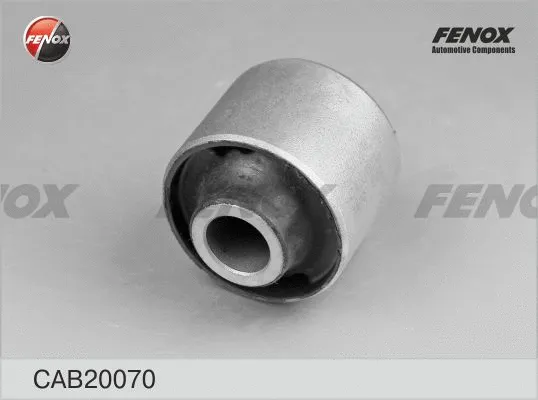 Mounting, control/trailing arm (CAB20070)