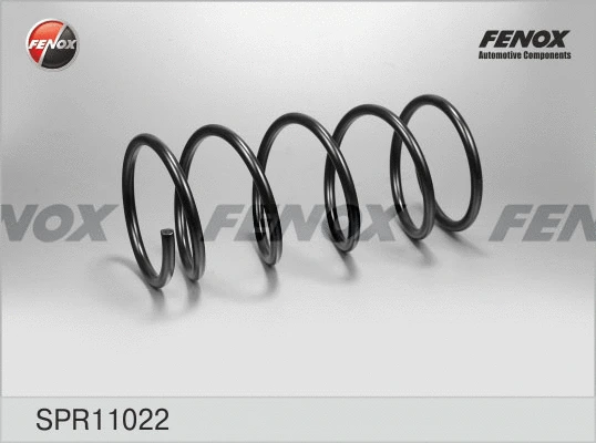 Suspension Spring (SPR11022)