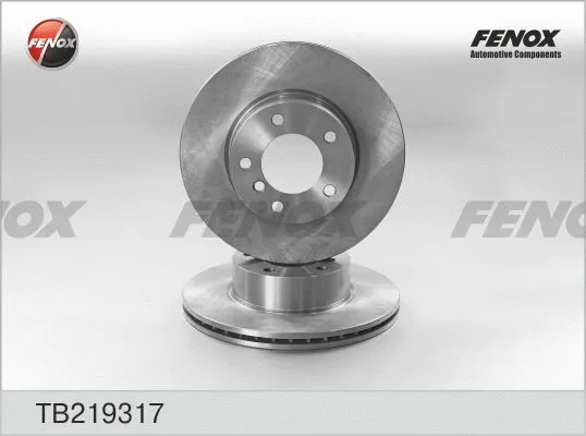 Brake Disc (TB219317)