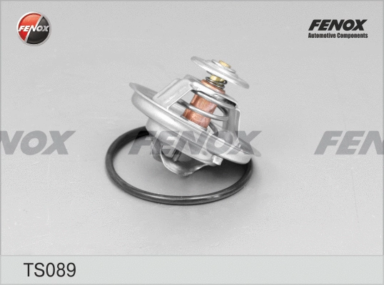 Thermostat, coolant (TS089)