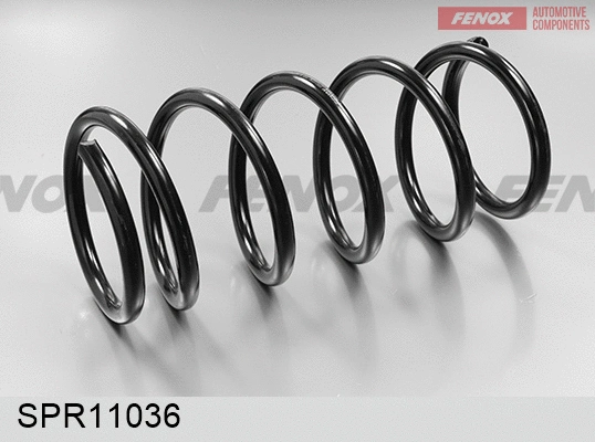 Suspension Spring (SPR11036)