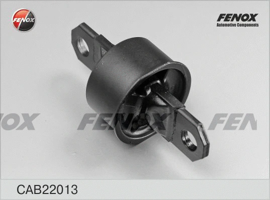 Mounting, control/trailing arm (CAB22013)