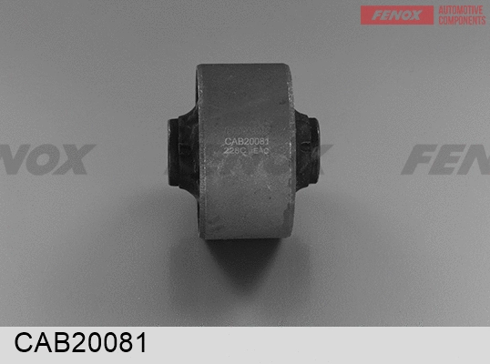 Mounting, control/trailing arm (CAB20081)