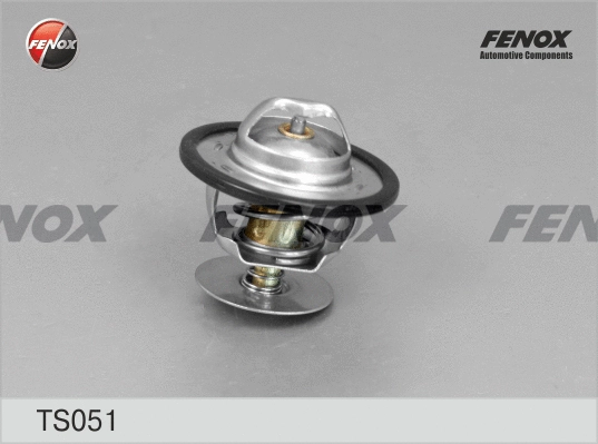Thermostat, coolant (TS051)