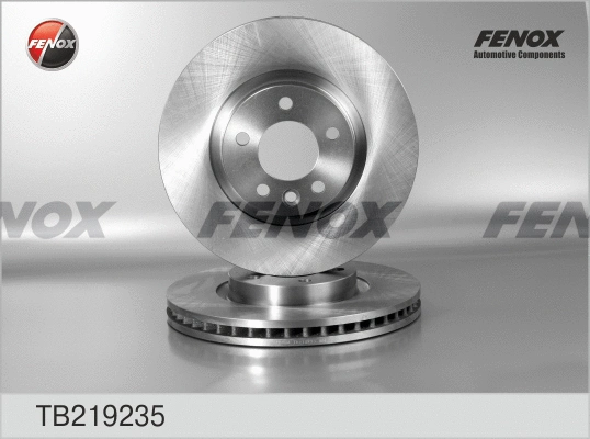 Brake Disc (TB219235)
