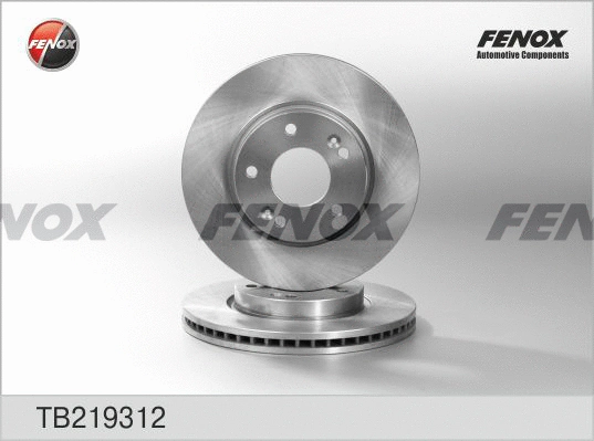 Brake Disc (TB219312)