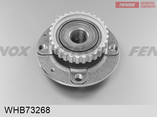 Wheel Hub (WHB73268)