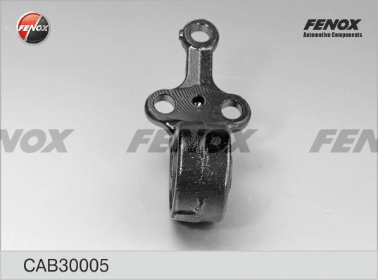 Mounting, control/trailing arm