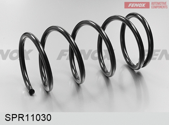 Suspension Spring (SPR11030)