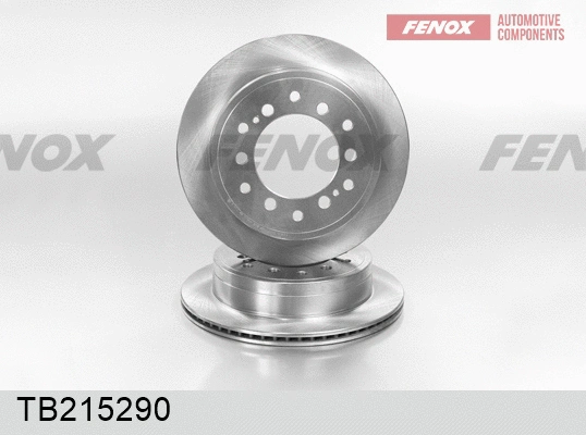 Brake Disc (TB215290)