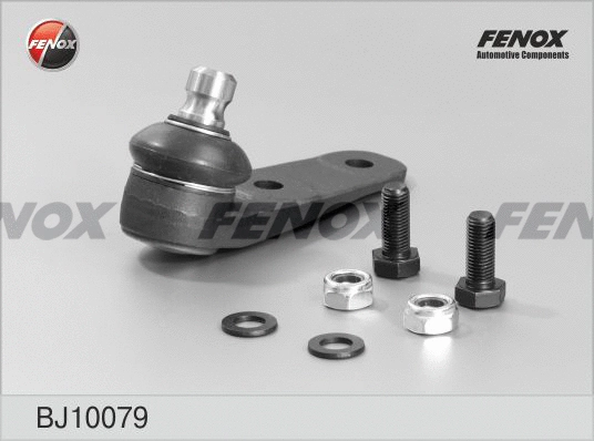 Ball Joint (BJ10079)