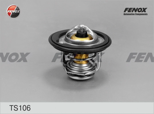 Thermostat, coolant (TS106)