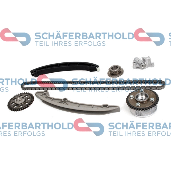 Timing Chain Kit (310 18 636 01 11)