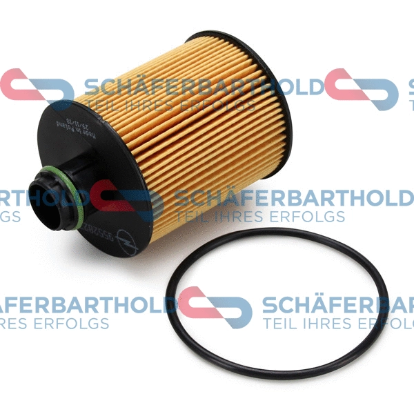 Oil Filter (310 16 672 01 11)