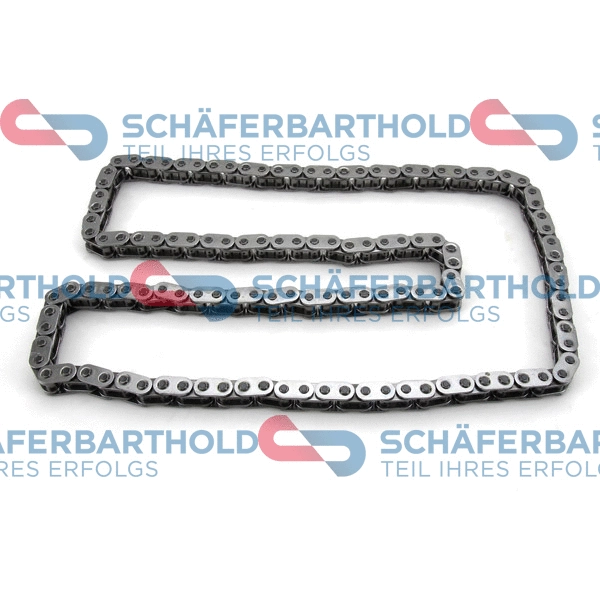 Timing Chain (310 27 539 01 11)