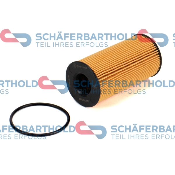 Oil Filter (310 27 864 01 11)