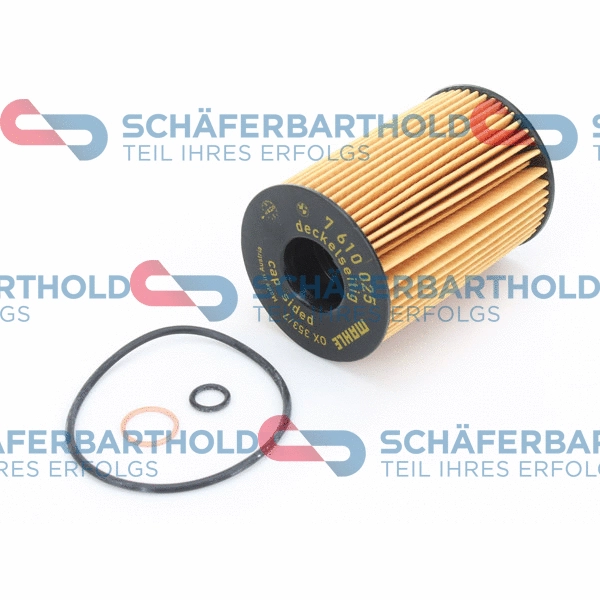 Oil Filter (310 02 406 01 11)