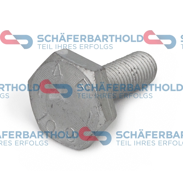 Bolt, camshaft gear (100 18 314 01 11)