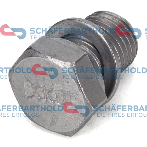 Screw Plug, oil sump (319 18 009 01 11)