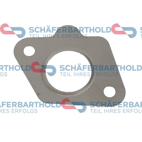 Gasket, EGR valve (313 06 968 01 11)