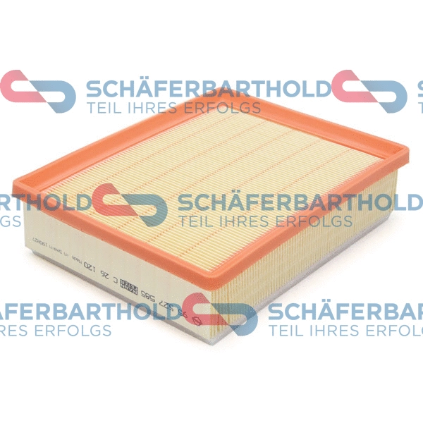 Air Filter (310 16 301 01 11)