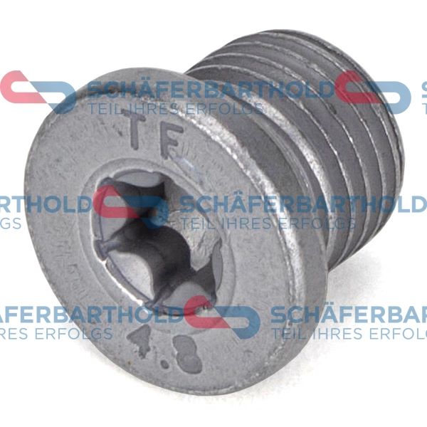 Screw Plug, oil sump (395 18 011 01 22)