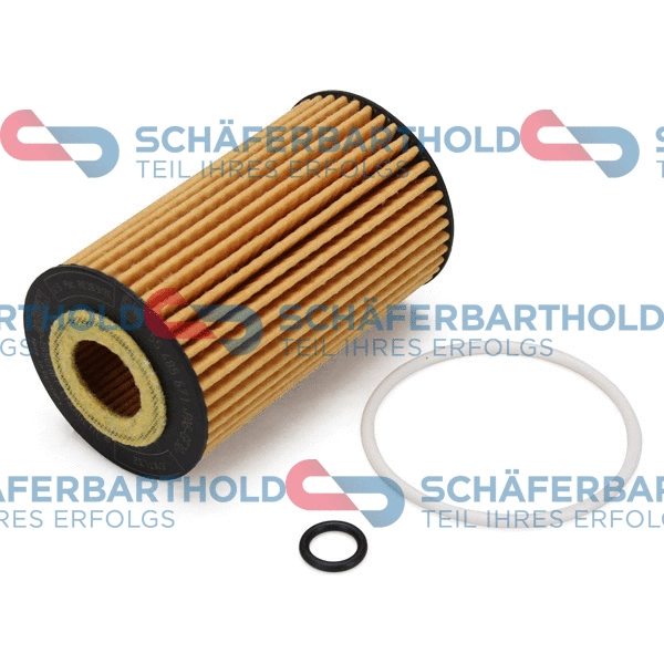 Oil Filter (310 16 246 01 11)