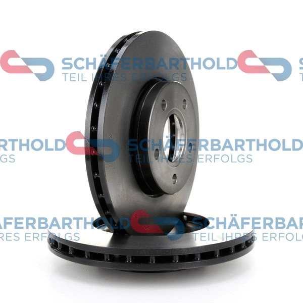 Brake Disc (315 06 323 01 11)