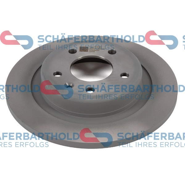 Brake Disc (315 16 572 01 11)