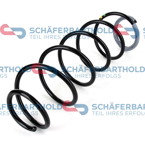 Suspension Spring (314 26 218 01 11)