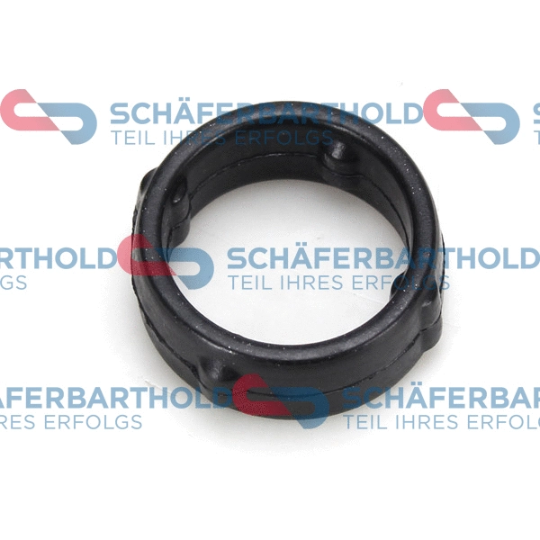 Gasket, timing case (313 16 012 01 11)