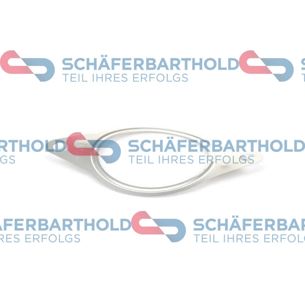 Gasket, EGR valve (313 27 915 01 11)