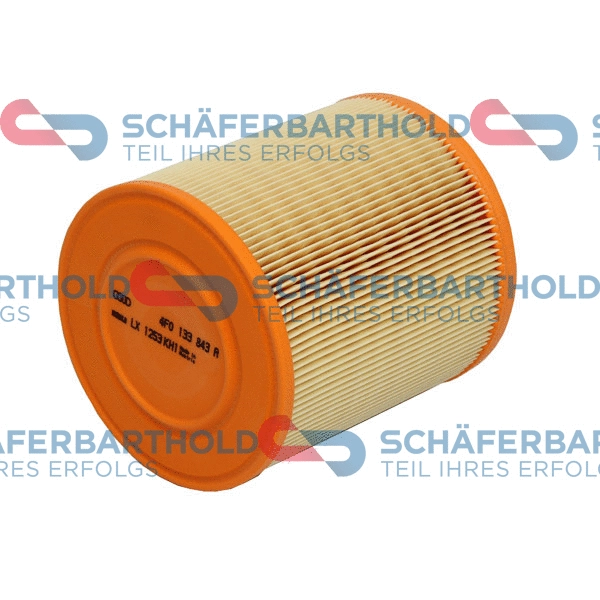Air Filter (310 04 125 01 11)