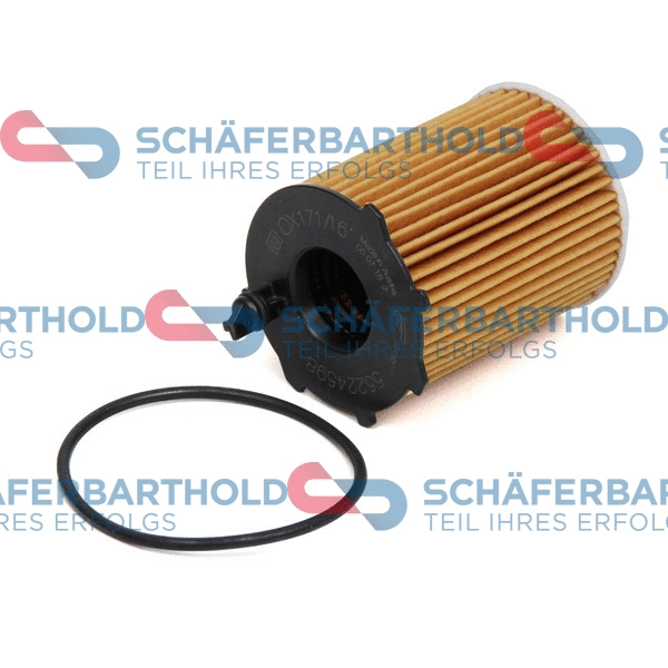Oil Filter (310 08 155 01 11)