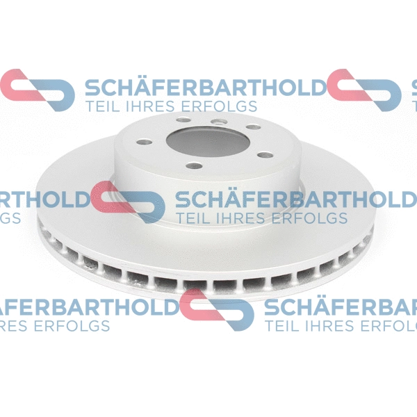 Brake Disc (315 02 451 01 11)