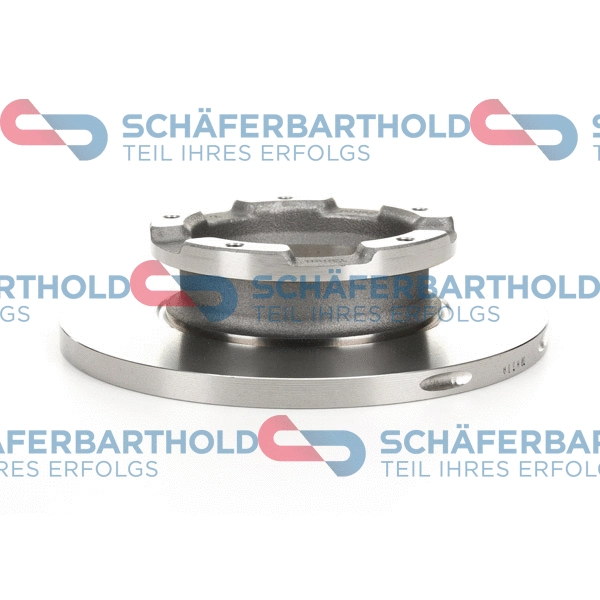 Brake Disc (315 06 504 01 11)