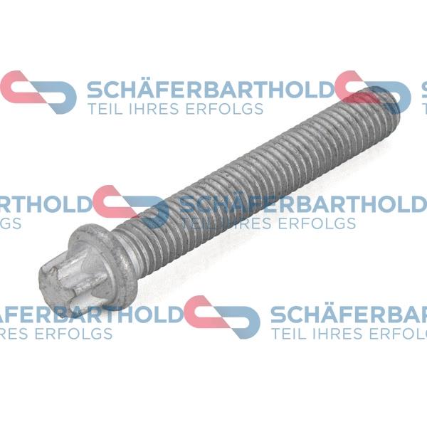 Pulley Bolt (100 02 150 01 11)
