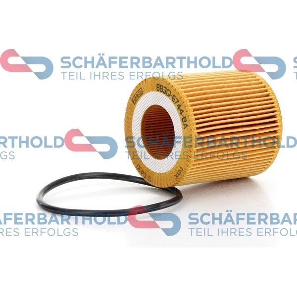 Oil Filter (310 06 217 01 11)