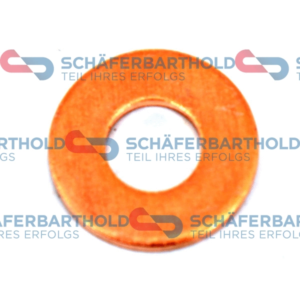 Seal Ring, nozzle holder (313 26 585 01 11)