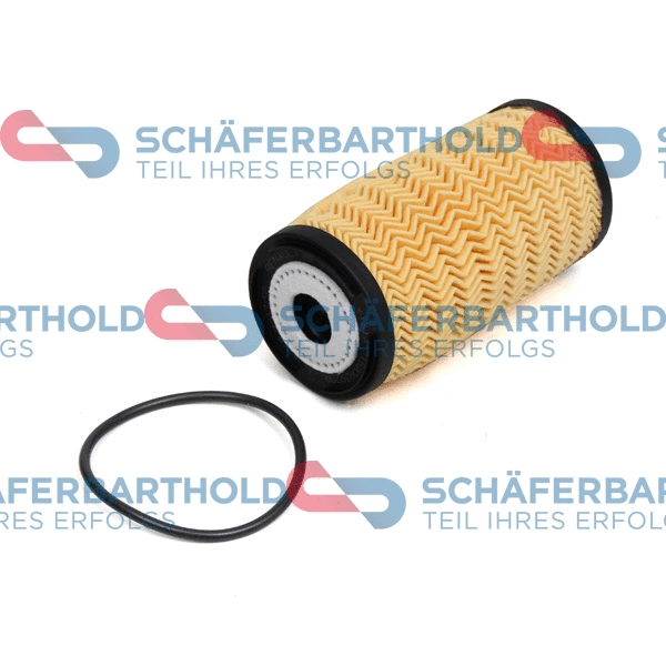 Oil Filter (310 12 142 01 11)