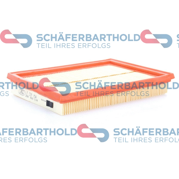 Air Filter (310 06 294 01 11)
