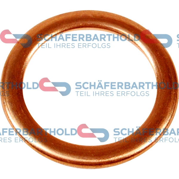 Seal Ring, oil drain plug (313 28 065 01 11)