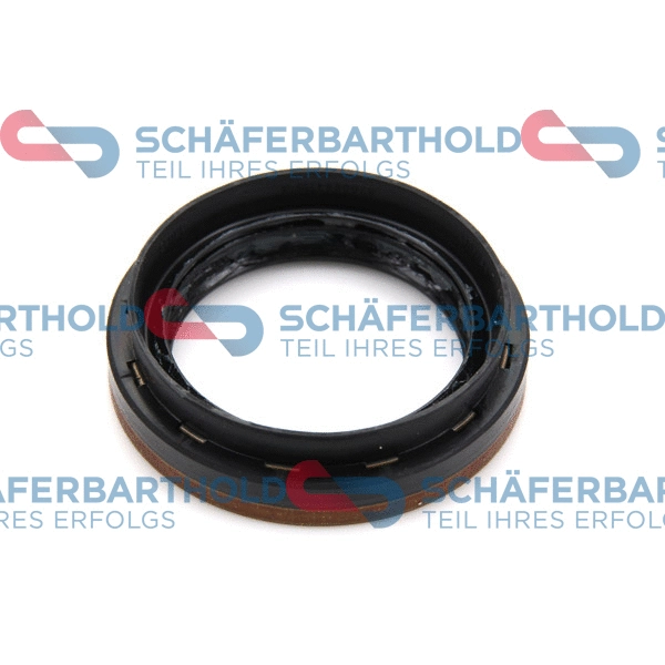 Shaft Seal, differential (313 28 430 01 11)