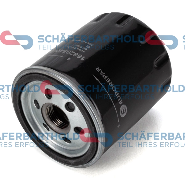 Oil Filter (310 27 778 01 11)