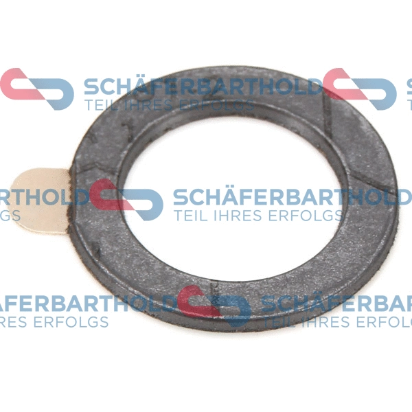 Gasket, exhaust pipe (313 27 921 01 11)